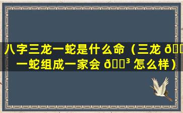 八字三龙一蛇是什么命（三龙 🍁 一蛇组成一家会 🌳 怎么样）